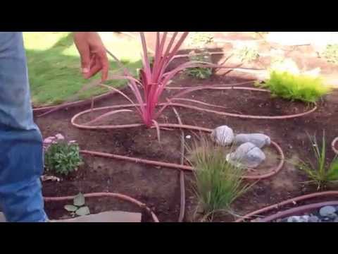 Drought Tolerant Garden