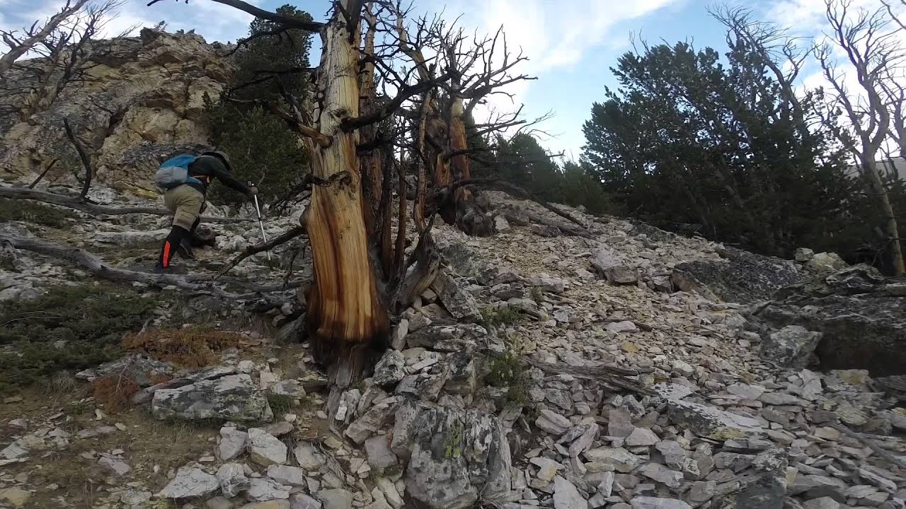 Mount Idaho climb 7 18 2015 YouTube