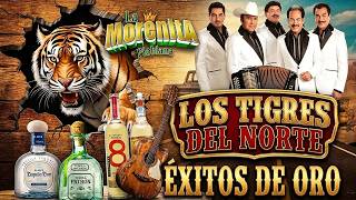 Los Tigres del Norte Éxitos Románticos 💔 En Qué Fallé, Ni Parientes Somos, Lágrimas | Mix Norteño