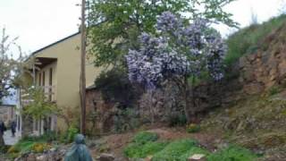 Camino de Santiago, 2007 - 2009