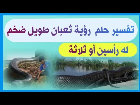 حقائق وأسرار لمن يحلم بالثعبان الضخم أو الطويل أو له رأسين أو ثلاثة