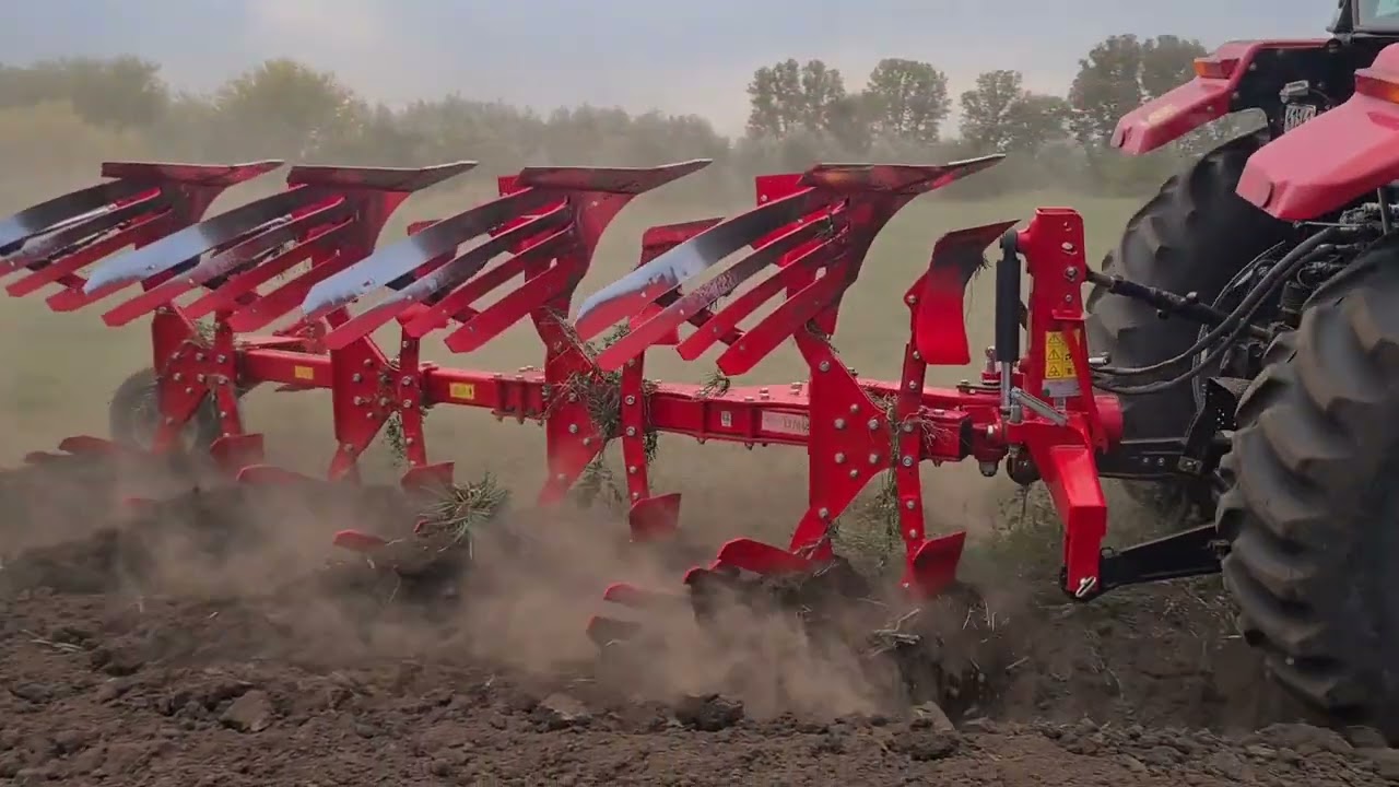 2025 рік у складі) Привіт 2026!!!