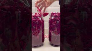 Mor Lahana Turşusu Tarifi Mor Lahana Turşusu Nasıl Yapılır?