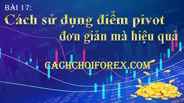 Điểm Pivot là gì? Cách sử dụng điểm pivot đơn giản mà hiệu quả