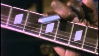CeDell Davis - My dog won't stay at home