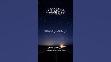 سورة فصلت | الشيخ ناصر القطامي | #surahfussilat #islamicvideo #quran
