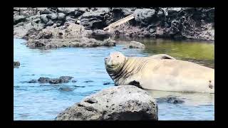 Ka'ena Point Trail Oahu Hawaii 