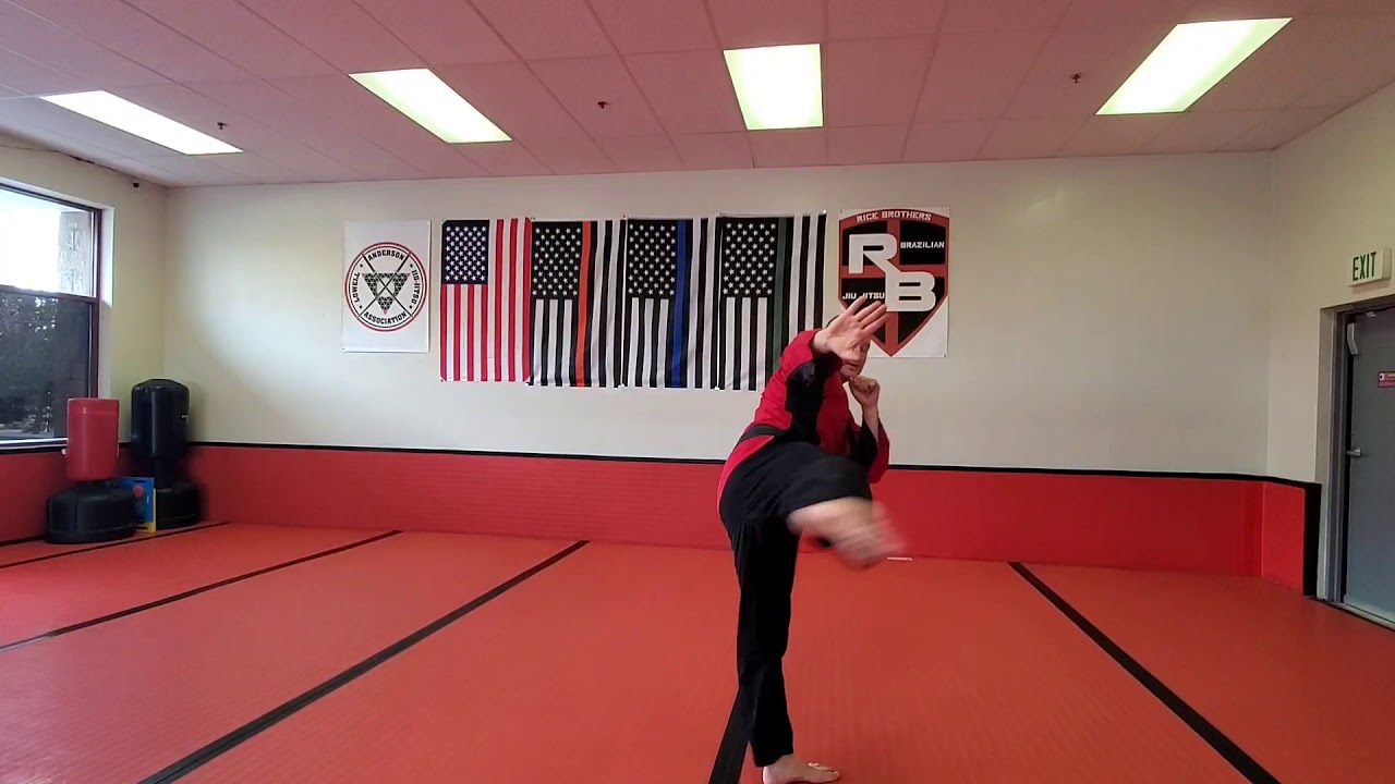 Orange Belt testing curriculum Adrenaline Training Center