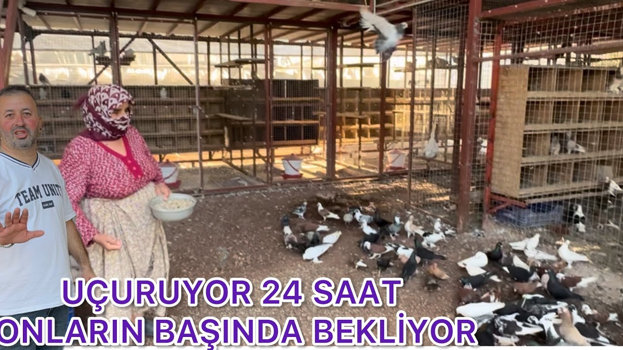 YÖRÜK KIZI YOK ARTIK DEDİRTTİ . 69 YAŞINDA GÜVERCİNLERE AŞK İLE BAKIYOR