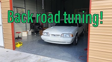 ECU Master Country Road Tuning!  Scaring All The Cows😂😂