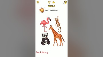 Brain Blow Level 1-10 Walkthrough