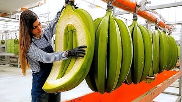 Most Satisfying Factory Machines and Ingenious Tools ▶ 4