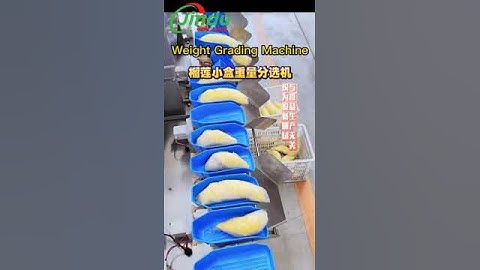 Durian Meat Weight Grading Sorting Machine #machine #fruit #durian #weighingsystem #equipment