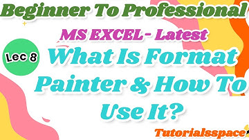 8- What Is Format Painter In MS Excel & How To Use It ? Format Painter In Ms Excel