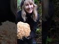 I found My First Cauliflower! Need Help on Recipe Ideas! #foraging #cauliflowermushroom #recipeideas