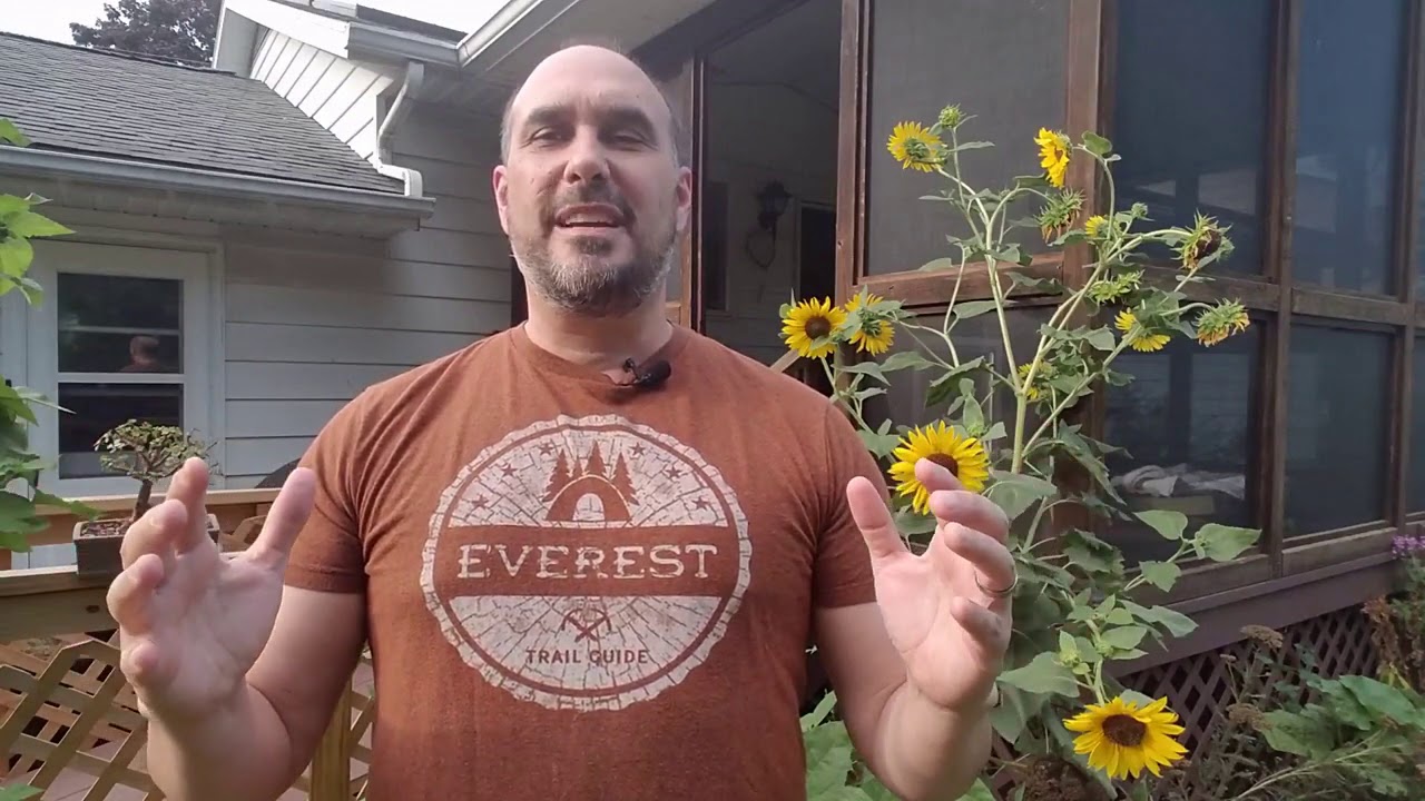 Discovering Qi : Find Your Energy for Health and Healing!