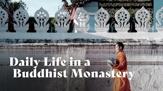 Daily Life in a Buddhist Monastery | Ajahn Amaro