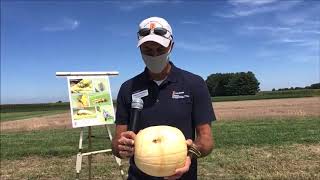 2020 Pumpkin Field Day Virtual Tour