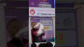 Championship Cat Show Fci