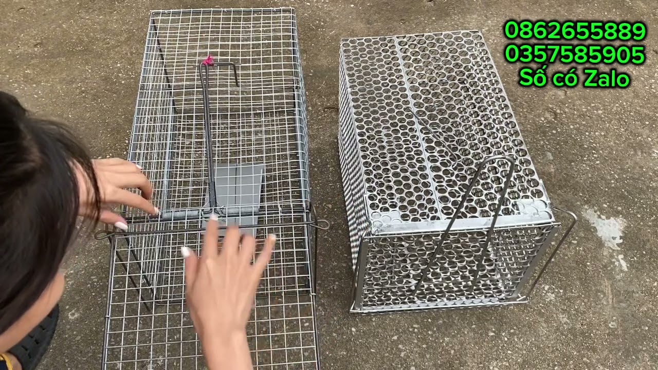 Lồng bẫy mèo hoang,chồn,cáo.lồng ô vuông và lồng đúc,thép không rỉ,chắc,khỏe,bền,hiệu quả#lồngbẫymèo