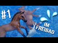 Im freibad fohlenschule  schleich pferde serie folge 1