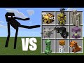 Kung Fu Enderman vs Minecraft