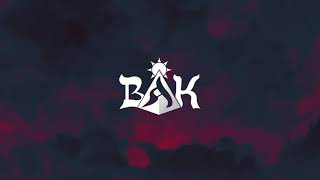 BAK – Ends The Same (Official Lyric Video)