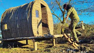 Surviving the Wilderness: Building a Log Cabin for Self-Sufficiency