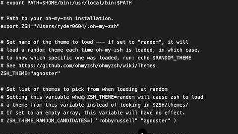 set zsh flutter path