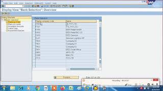 AUTOMATIC PAYMENT PROGRAMM IN SAP