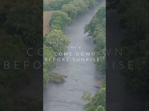 661 Toccoa River Forest, Mineral Bluff, GA home video tour