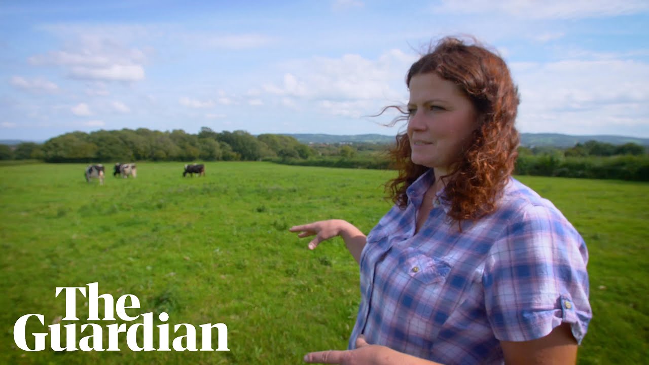 The high-welfare dairy farm that produces Britain's best milk