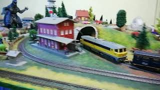 Lokomotywy: TEM-18D osobowy & BR 130 1606 Ludmiła Towos  & EMD SD40 2008 LALA Towos 1:87 H0