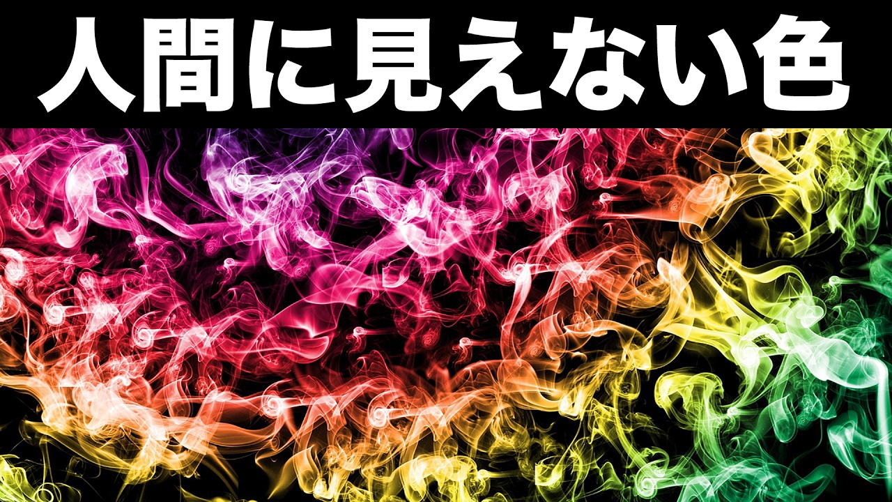 人間に見えない虹の色 Youtube
