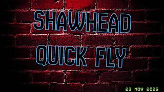 Shawhead Quick Fly 23112025