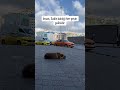 Galip. #keşfet#istanbul#fypシ#youtubeshorts#manzaravideoları#fypシ#huzur#hayvanlar#love #fypシ#iran