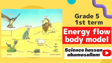 Prim 5 first Term 2023 Unit 1 Concept 3 Lesson 2 Energy flow body model Part 1 Pass it on