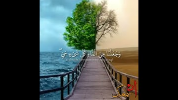 ارح سمعك❤ سورة الانبياء ❤