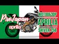 Обзор Aprilia Shiver 750 2009. Бойтесь, Японцы?