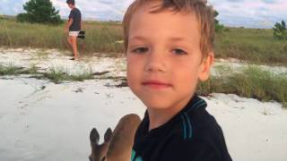 Declan feeding the deer