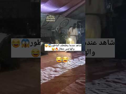 اقوى اغنيه على الماطور عندما يطفطف والهاجس شغال مزمار شعبي مع مراد نوفل الكسار