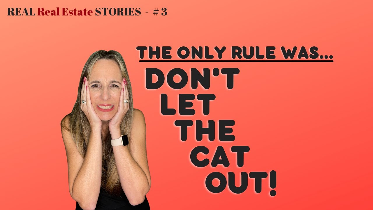 Don't Let The Cat Out! YouTube
