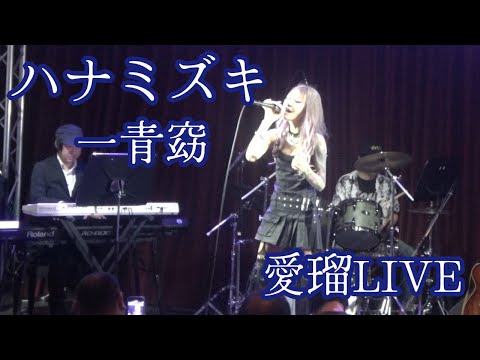【LIVE】ハナミズキ／一青窈　Singerの愛瑠さん初登場♪