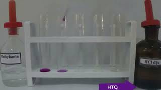 Thí Nghiệm Kiểm Chứng Tính Base Của Methylamine