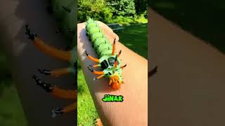 This is a caterpillar that resembles a dragon in the real world ‼️😱 #shorts #videoshorts #uniquef...