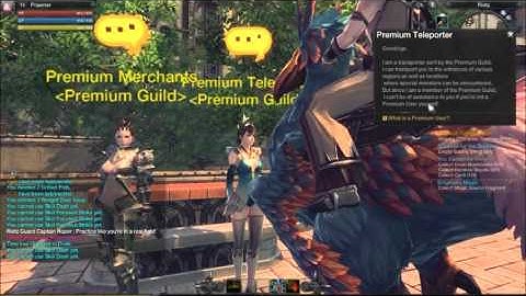 Raiderz - Premium Service