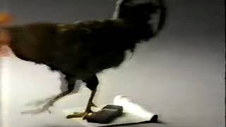 VCR Plus ad, 1992