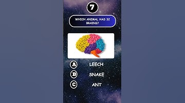 General Knowledge Quiz - Comment how many did you get right? 🧠🤓👍 #quiz #gk #shorts #ytshorts