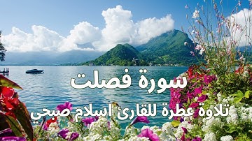 سورة فصلت|#تلاوة_عذبة|#تلاوة_هادئة|#تلاوة_خاشعة|#راحة_للقلب#طمأنينة|#اسلام_صبحي