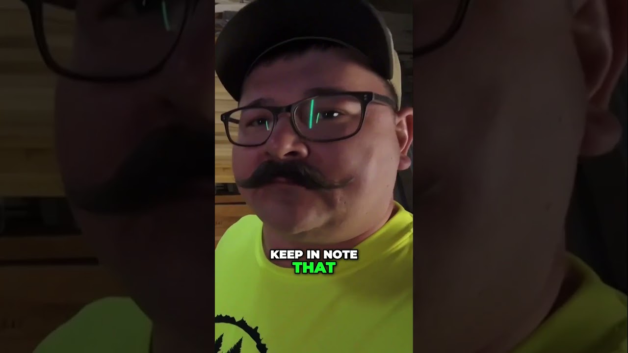 Differences Between MAPLE and BIRCH Wood Identification? 